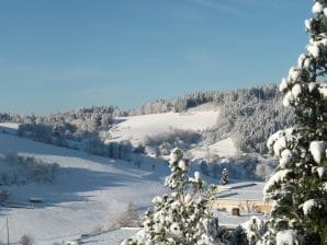 Ferienwohnung Vielgut - Waldkirch - image1