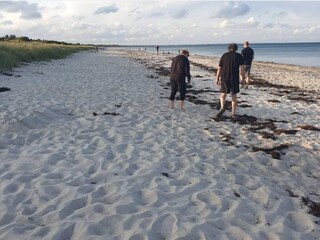 Ferienhaus Vaeggerløse  11