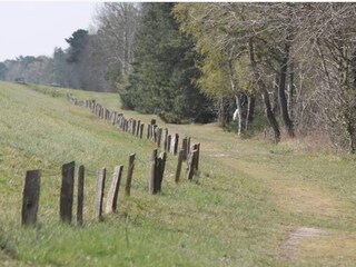 Vakantiehuis Vaeggerløse  10