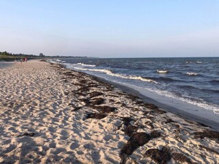 Ferienhaus Vaeggerløse  5