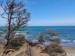 Casa per le vacanze Vorupør  9