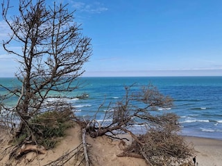 Ferienhaus Vorupør  22