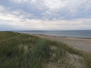 Ferienhaus Vorupør  16