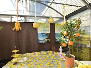 Ferienhaus Trarego Viggiona Umgebung 21