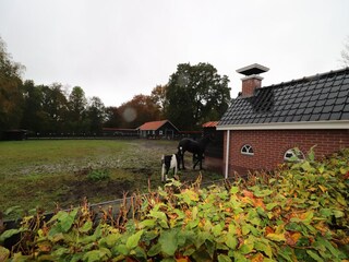 Appartement Marum Buitenaudio-opname 5