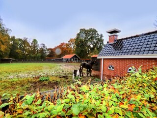 Appartement Marum Buitenaudio-opname 2