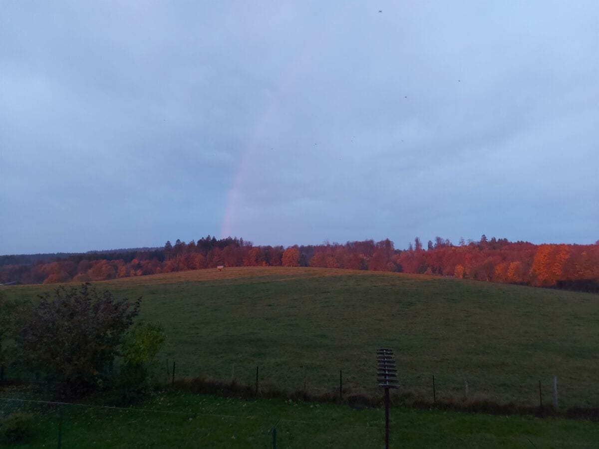 Blick auf Weide