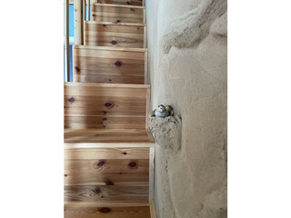 Appartamento Reinsfeld Caratteristiche 25