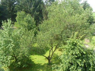 Appartamento per vacanze Allgäu Registrazione all'aperto 6