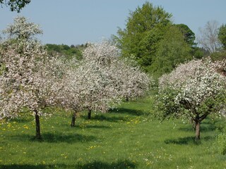 Appartamento per vacanze Allgäu Registrazione all'aperto 7