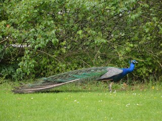 Parco vacanze Mouriez  31