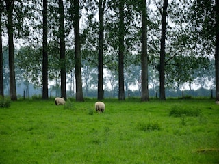Ferienpark Mouriez Umgebung 26