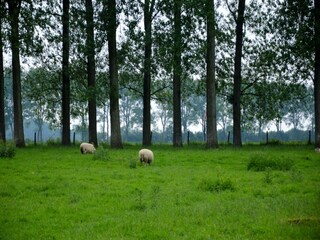 Vakantiepark Mouriez Omgeving 27