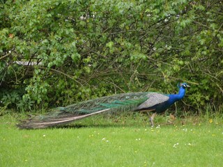 Parc de vacances Mouriez  31