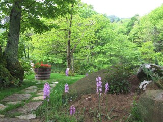 Maison de vacances Castagneto Carducci  36