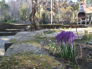 Maison de vacances Castagneto Carducci  38