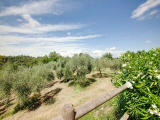 Farmhouse Morrona Outdoor Recording 12