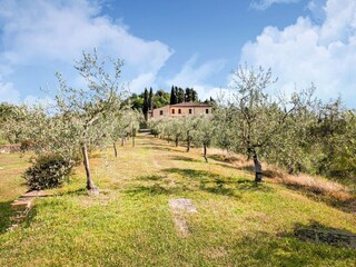 Farmhouse Morrona Environment 33