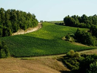 Farmhouse Morrona Environment 39