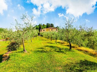 Farmhouse Morrona Outdoor Recording 7