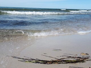 Apartamento Wendtorf  9