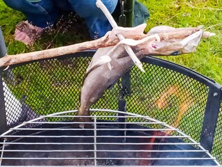 Holiday house Lillesand  33