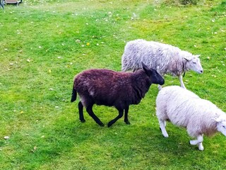 Ferienhaus Lillesand  30