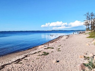 Ferienhaus Reersø  37