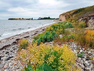 Holiday house Reersø  26