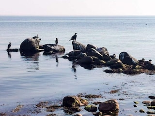 Holiday house Reersø  44