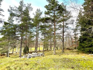 Holiday house Upphärad  7