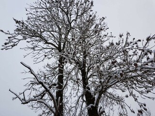 Holiday house Bollnäs  29