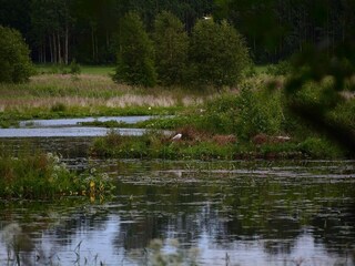 Vakantiehuis Bollnäs  23