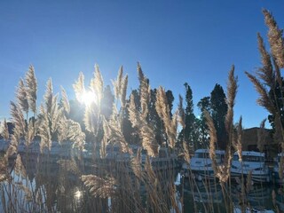 Holiday park Sallèles-d'Aude Environment 24