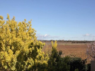 Parc de vacances Sallèles-d'Aude Environnement 23