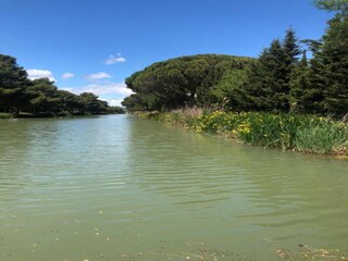Vakantiepark Sallèles-d'Aude Omgeving 30