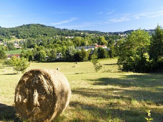 Parc de vacances Montignac Environnement 26