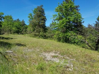 Vakantiepark Montignac Omgeving 31