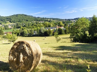 Vakantiepark Montignac Omgeving 30
