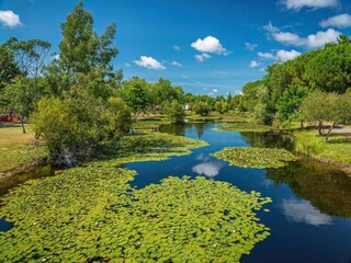 Vakantiepark Hourtin Omgeving 24