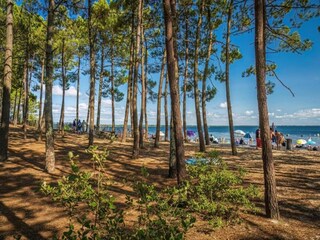 Parc de vacances Hourtin Environnement 18