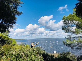Vakantiepark Hourtin Omgeving 18