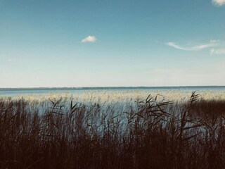 Parc de vacances Hourtin Environnement 30