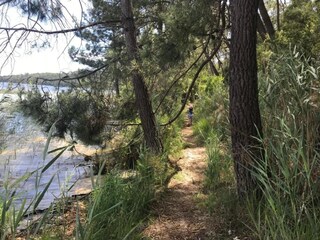 Parco vacanze Hourtin Ambiente 31