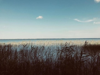 Parc de vacances Hourtin Environnement 21