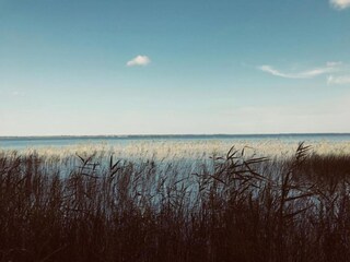 Vakantiepark Hourtin Omgeving 26