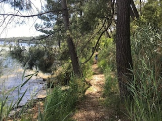 Parc de vacances Hourtin Environnement 25