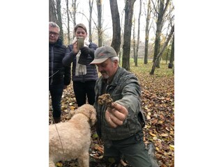 Appartamento per vacanze Cavatore Ambiente 35