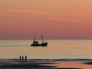 Appartement De Haan Environnement 28