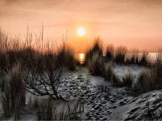 Apartamento De Haan Entorno 22